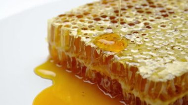 Bal damlaları bal peteği ormanından tatlı organik malzeme yakın çekim makrosu HD