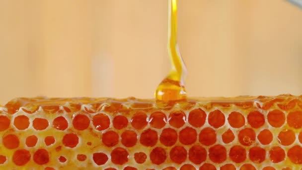Close Κυψέλη Επικαλυμμένη Μέλι Στάζει Νόστιμο Γλυκό Χωρίς Ζάχαρη Διατροφή — Αρχείο Βίντεο