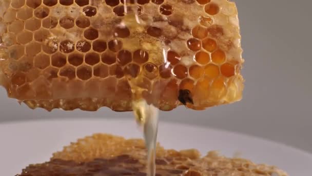 蜂蜜とハニカム マクロ ショット 甘いとおいしい滴下蜂蜜Hdを閉じます — ストック動画