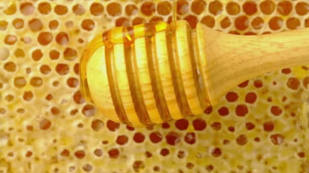 Složení Medu Plástve Nalévání Včelí Med Hůl Pozadí — Stock video
