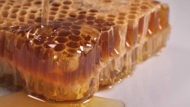 Honungsdroppar Från Honeycomb Skogen Söt Läcker Ekologisk Ingrediens Närbild Makro — Stockvideo
