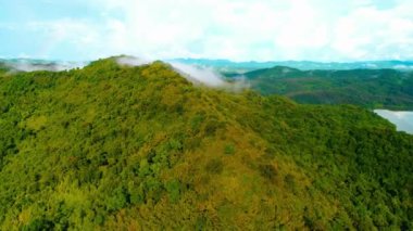 Hava aracı görüntüsü, güneş doğduktan sonra sabah yeşil orman uçuşu, İsviçre dağları, dağ manzarası, doğa seyahati.