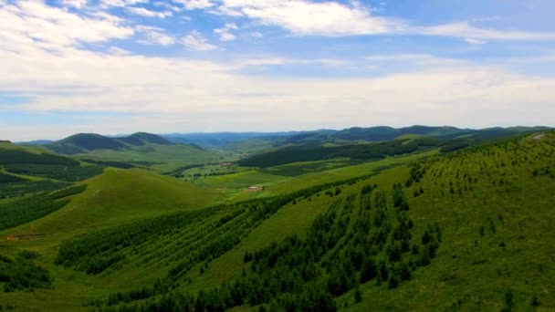 松林のある緑の丘の山松の風景と青いスカイラインビューシーン山の谷4K Hdを明らかに松林 — ストック動画