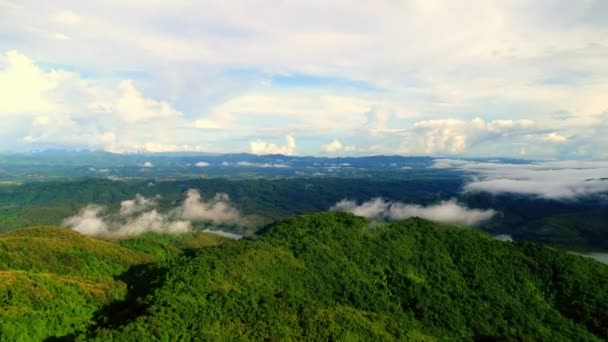 Aerial Shot Forest Krajobraz Gór Panoramą Chmury Niebieski Charakter Tło — Wideo stockowe