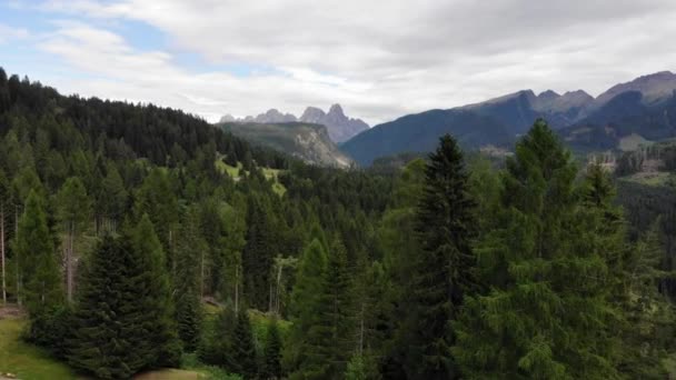 Зеленый Холм Горы Лесным Сосновым Ландшафтом Голубой Пейзаж Пейзаж Пейзаж — стоковое видео