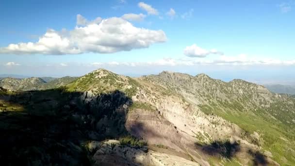 Anténa Létání Nad Krásným Zeleným Lesem Venkovské Krajině Usa Horský — Stock video