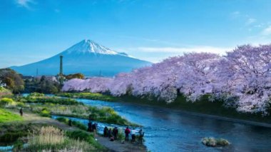 Dağ Fuji arka planı ve güzel gökyüzü açık mavi bulutlu panoramik turistik nokta 4k HD