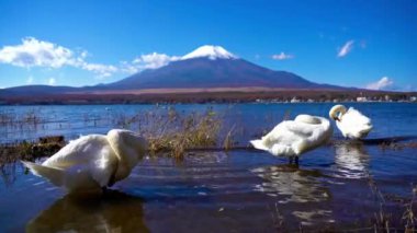 Fuji Dağı, Japonya 'nın güzel Timelapse Gölü' nün 4k. Gündüz Sahnesi 'ndeki görüntüleri. Fuji Kış sezonunda