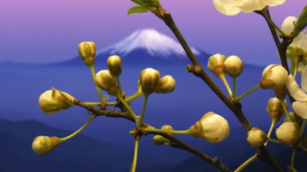 Blomma Kronblad Med Blury Berg Fuji Bakgrund Japan Natursköna Bilder — Stockvideo