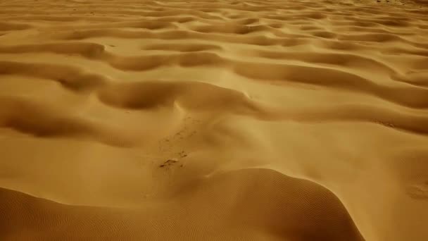 Sahara Desierto Egipto Viaje Destino Paisaje Vista Aérea Local Spot — Vídeo de stock