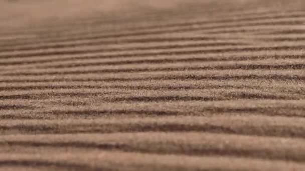 在非洲的风撒哈拉沙漠里吹着特写镜头的沙子 — 图库视频影像