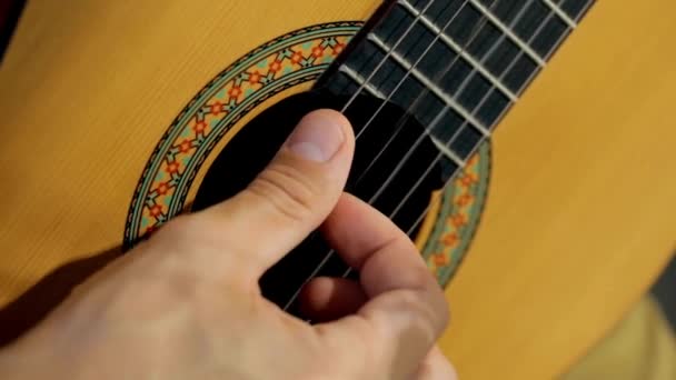 Gros Plan Personne Doigts Frottant Cordes Guitare Acoustique Musicien Guitariste — Video