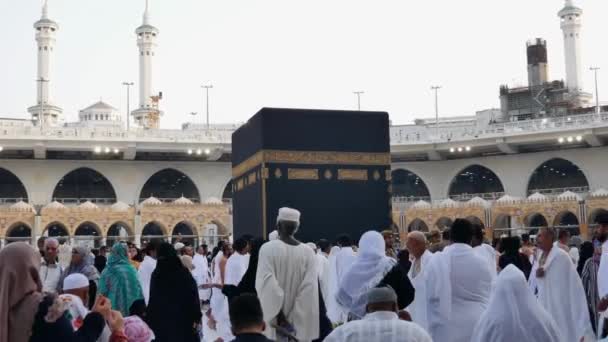 Μουσουλμάνοι Προσκυνητές Κάνουν Κύκλους Γύρω Από Την Ιερή Κάαμπα Την — Αρχείο Βίντεο