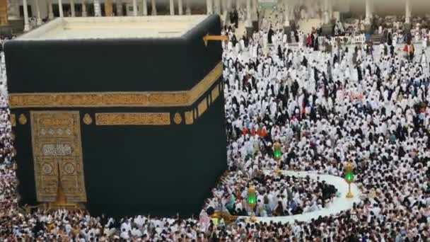 Pèlerins Musulmans Tournant Autour Sainte Kaaba Jour Pendant Saison Hajj — Video
