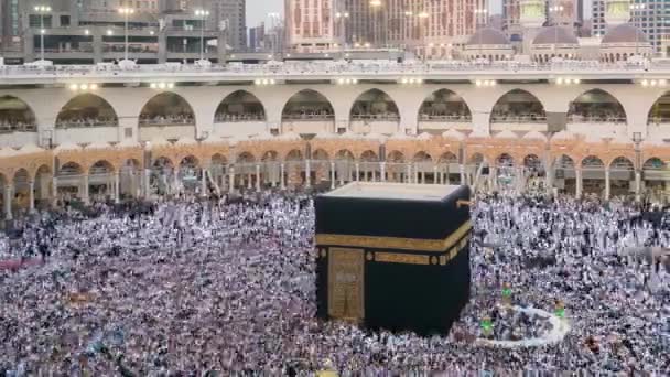 Muslims Pilgrimage Praying Holy Mosque Doing Tawaf People Walking Facade — Stock Video