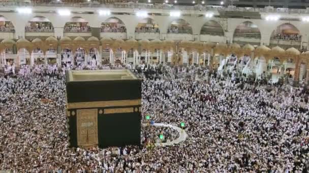 Pilgrims All World Gathered Perform Umrah Hajj Haram Mosque Mecca — Stock Video