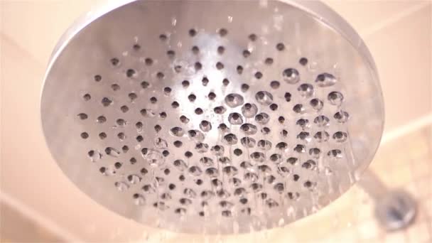 Gotejamento Água Caindo Chuveiro Com Ninguém Lavando Conceito Limpeza Spa — Vídeo de Stock