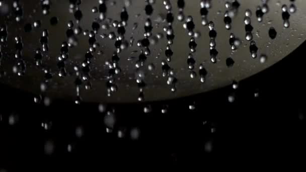 Vízcseppek Zuhanyfejből Vízcseppek Közelsége Fürdőszoba Koncepció Mosás Higiénia Napi Pihenés — Stock videók