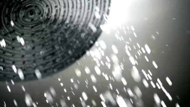 Wasser Strömt Aus Dem Duschkopf Nahaufnahme Von Wassertropfen Badezimmerkonzept Der — Stockvideo