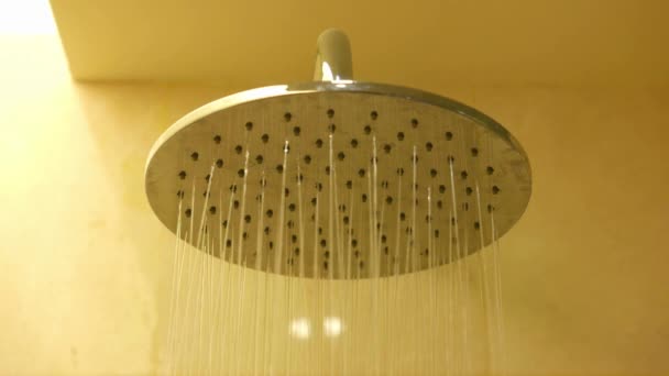 Chuveiro Começa Correr Banheiro Tomando Uma Limpeza Banheiro Chuveiro Hábitos — Vídeo de Stock