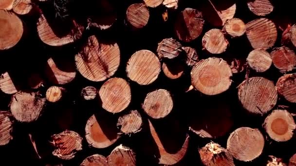 Dřevěné Hromady Dřeva Lesní Palivové Dříví Zásoby Pro Zimní Dřeviny — Stock video