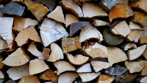 Wood Piles Lumber Forestry Firewood Stock Winter Timber Woods Stacked — Stock Video