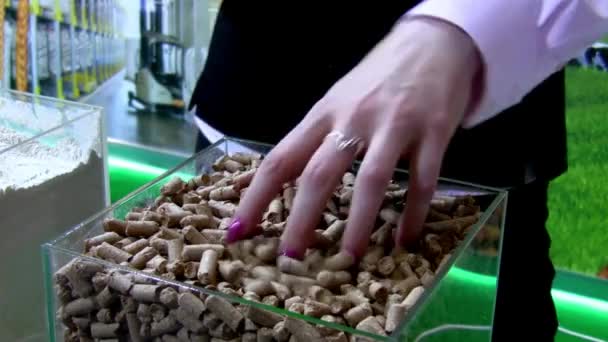 Indústria Pellets Madeira Fonte Calor Alternativa Biomassa Energia Renovável Sustentável — Vídeo de Stock