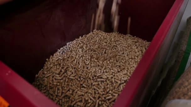 Close Compacted Wooden Sawdust Pellets Pile Organic Bio Fuel Mass — Stock Video