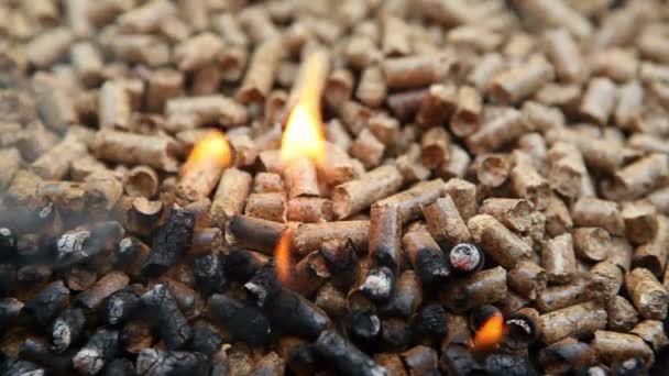 Trä Pellets Bränner Bakgrund Alternativ Värmekälla Biomassa Förnybar Och Hållbar — Stockvideo