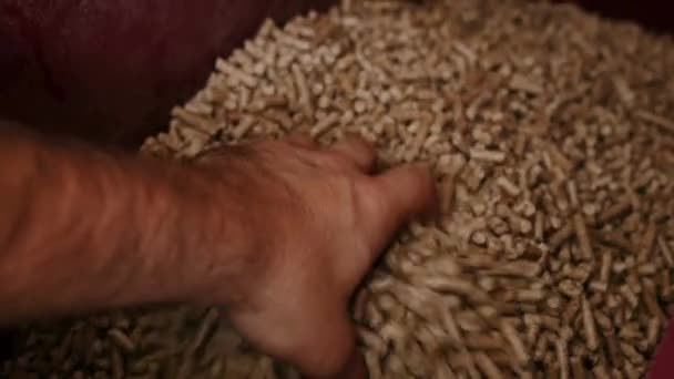 Primer Plano Pila Producción Pellets Madera Comprimida Para Uso Como — Vídeos de Stock