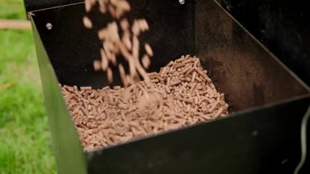 Pellets Trä Eller Biobränslen För Spisar Begreppet Ekologi Miljöpåverkan Träsågspån — Stockvideo