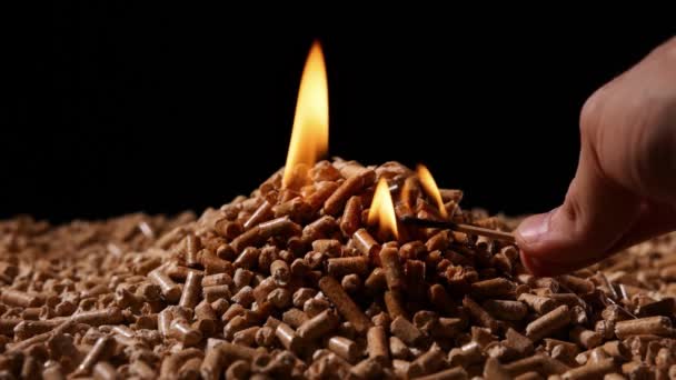 Trä Pellets Bränner Bakgrund Alternativ Värmekälla Biomassa Förnybar Och Hållbar — Stockvideo