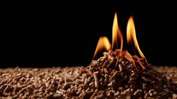 Holzpellets Die Auf Feuer Brennen Produzieren Gepresstes Holz Als Alternativer — Stockvideo