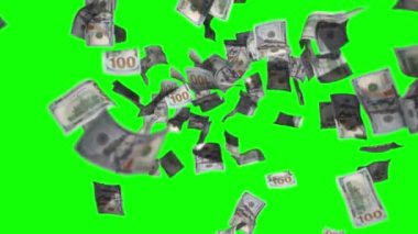 para nakit dolar yeşil arkaplan animasyon 4k HD düştü