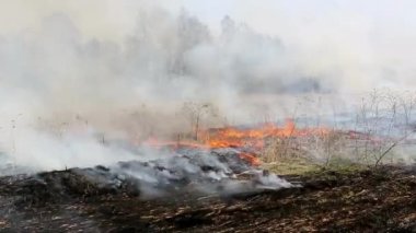 4K 'da Kaliforniya' da büyük bir orman yangınıyla tehdit edilen çöl evleri.