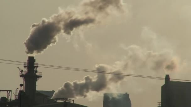 Contaminación Atmosférica Emisiones Automóviles Productos Químicos Fábricas Polvo Polen Las Metraje De Stock Sin Royalties Gratis