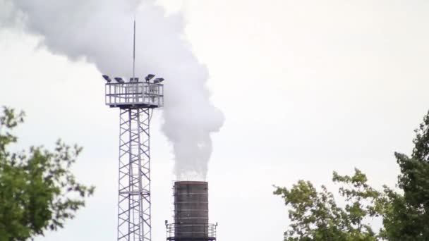 Contaminación Atmosférica Humo Fábrica Chimenea Residuos Industriales — Vídeos de Stock