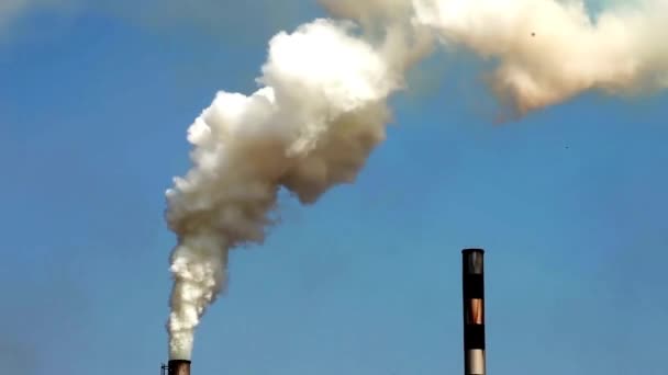 Загрязнение Воздуха Дыма Дымохода Промышленности — стоковое видео