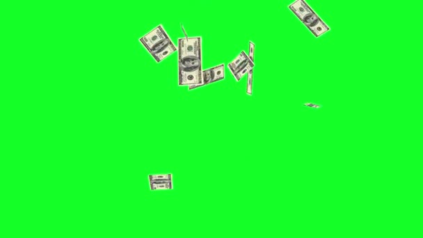 Geld Bargeld Dollar Fallen Grünen Hintergrund Animation — Stockvideo