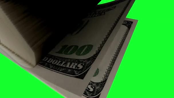 Money Cash Dollar Count Flip Animation — Stock Video