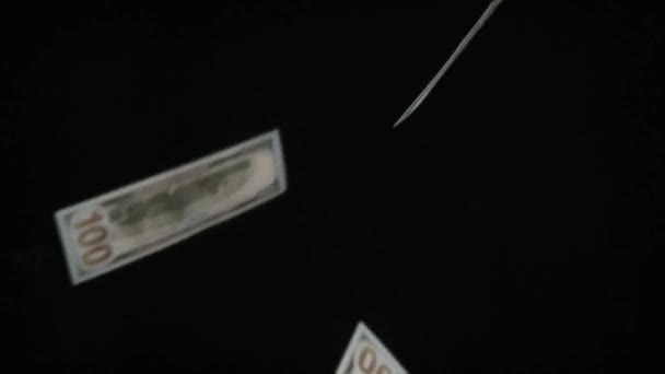 Soldi Contanti Dollaro Animazione Pioggia Cadere Ricchi Sfondo Nero — Video Stock
