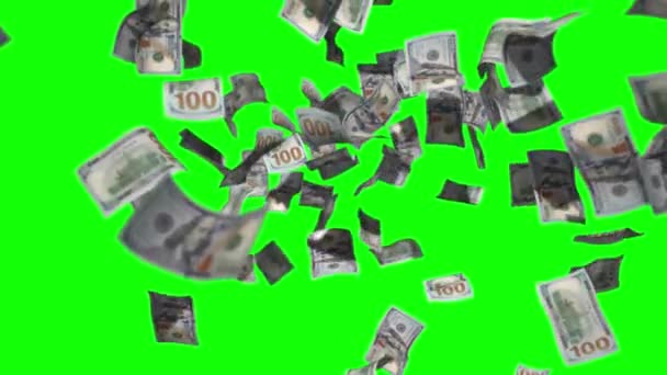 Dinheiro Dinheiro Dólar Cair Fundo Verde Animação — Vídeo de Stock