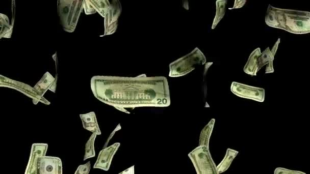 Dinheiro Dinheiro Dólar Animação Chuva Caindo Rico Fundo Preto — Vídeo de Stock