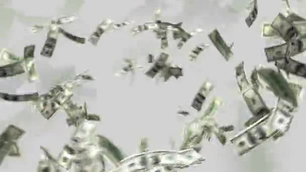 Soldi Contanti Dollaro Animazione Pioggia Caduta Ricca — Video Stock