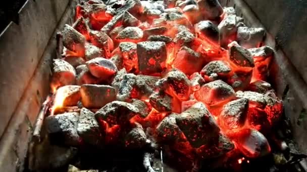 Forró Szén Égetése Fosszilis Energia — Stock videók
