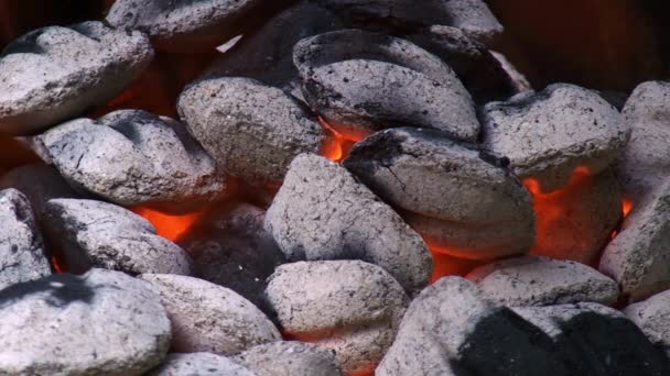 Queima Carvão Quente Close Carvão Energia Fóssil — Vídeo de Stock