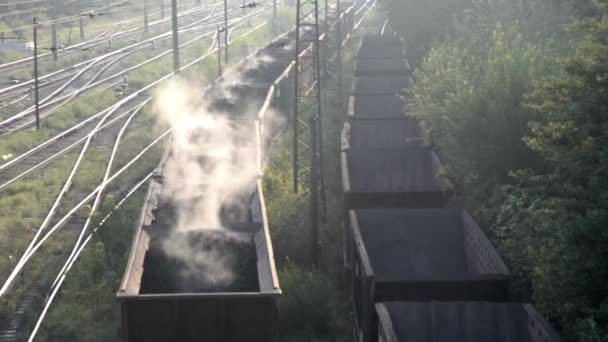 Wagons Met Steenkool Die Met Treinrails Worden Vervoerd — Stockvideo