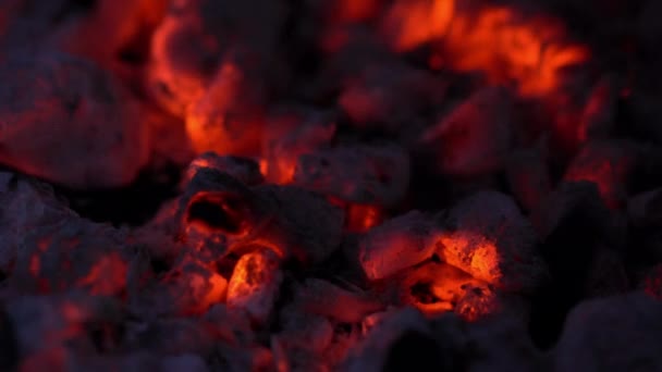 Dřevěné Uhlí Hoří Žhnoucí Gril Bbq Oheň Uhlí — Stock video