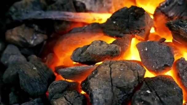 Kömür Yakıcı Sıcak Kömür Fosil Enerjisi — Stok video