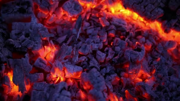 Charcoal Burning Hot Black Coal Fossil Energy — Stock Video